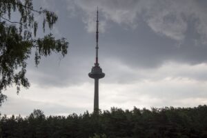 282571-ugniagesiai-sulauke-apie-300-pranesimu-del-audros-virs-150-tukst-zmoniu-be-elektros.jpg