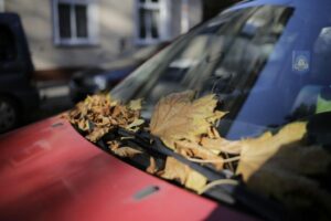 Vairuotojai raginami išvalyti lapus nuo priekinio stiklo, kad būtų išvengta